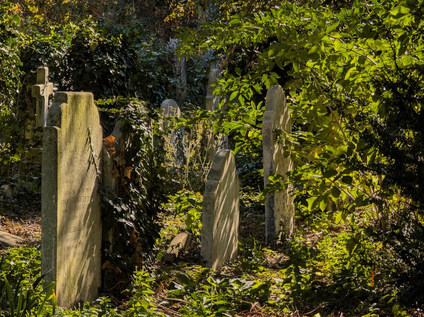 A cluster of old, weathered gravestones of varying shapes and heights is partially obscured by overgrown foliage in a shaded outdoor setting, likely a graveyard or historical site. The gravestones are made of stone, featuring rough and textured surfaces with some displaying moss or lichen growth, indicating age and exposure to the elements. The stones are positioned in uneven rows, with some leaning slightly and others standing upright, surrounded by dense green leaves, bushes, and small plants. Dappled sunlight filters through the branches above, casting light and shadow across the stones and the surrounding ground, which is covered with fallen leaves and organic debris. The scene has a natural, somewhat neglected appearance, exemplifying how environment and time contribute to the scenery. This setting illustrates the sort of environment where private or independent management of historic sites or cemeteries, such as those serviced by Waste Clearance Brompton, might be necessary for ongoing preservation or clearance of debris and overgrowth in a professional manner, supporting sustainable maintenance for such outdoor memorials.