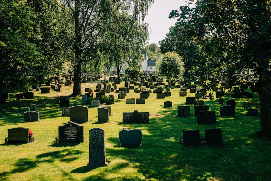 A cemetery scene during daytime featuring numerous upright headstones of varying shapes and sizes, primarily made of dark stone with some lighter and weathered finishes, arranged in rows across a well-maintained grassy area. Some headstones have inscriptions visible, while others appear blank. The lush green grass is interspersed with shade cast by large, leafy trees on the left and right sides of the image, creating a pattern of light and shadow on the ground. In the background, partially obscured by the trees, are distant residential buildings with pitched roofs and white facades. The overall atmosphere is calm and solemn, with natural sunlight illuminating the scene, highlighting the textures of the stone and the vibrant greenery. The setting suggests a peaceful resting place, with no visible activity, fitting a typical burial ground. This scene relates to various aspects of private or independent waste management, such as the maintenance and clearing of graveyard grounds, which may require professional rubbish and debris removal services in the context of cemetery upkeep, in alignment with services offered by Waste Clearance Brompton.